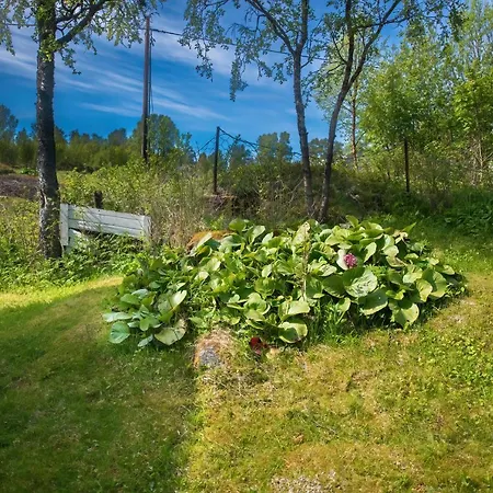 Sjolund House *